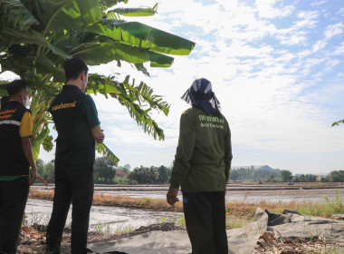 สหกรณ์จังหวัด ลงพื้นที่ตรวจเยี่ยมสหกรณ์การเกษตรท่าเรือ จำกัด พารามิเตอร์รูปภาพ 9